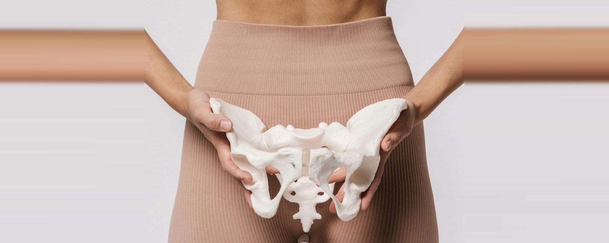 A woman holding an anatomical model of the pelvis