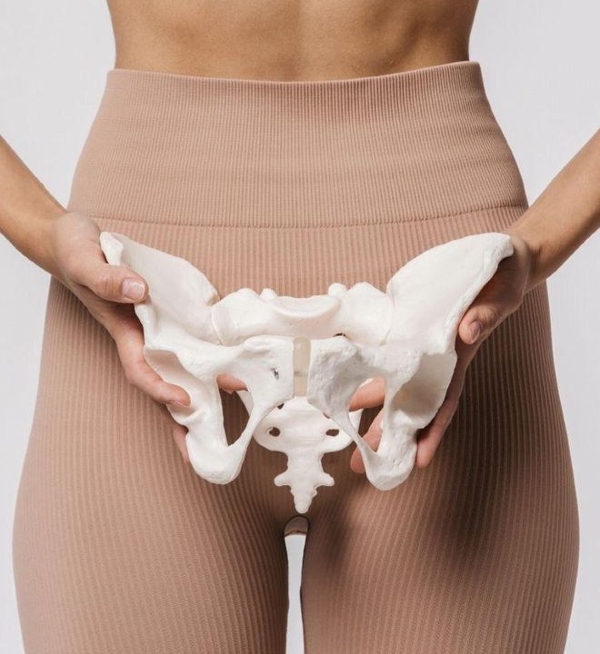 Una mujer sosteniendo un modelo anatómico de la pelvis